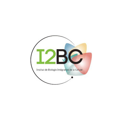 Michel Rémon & Associés - i2bc